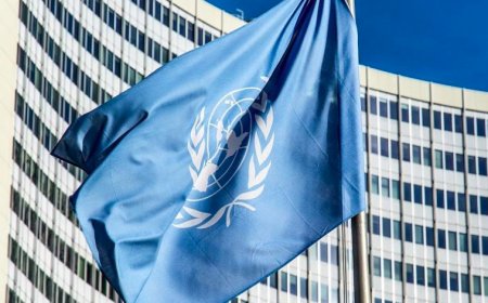 Возникает ощущение безнаказанности виновных в нарушении прав человека в Казахстане – ООН