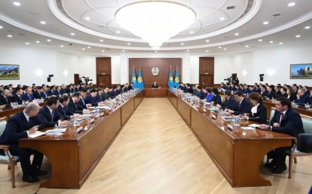 Президент: Үкімет пен әкімдердің жұмысы қаншалықты тиімді екенін бағалаймыз