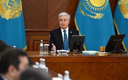 Токаев: Даже депутаты чернят репутацию Казахстана