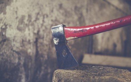 Өскемен тұрғыны үш туысын балталап өлтіріп, өртеп жіберген
