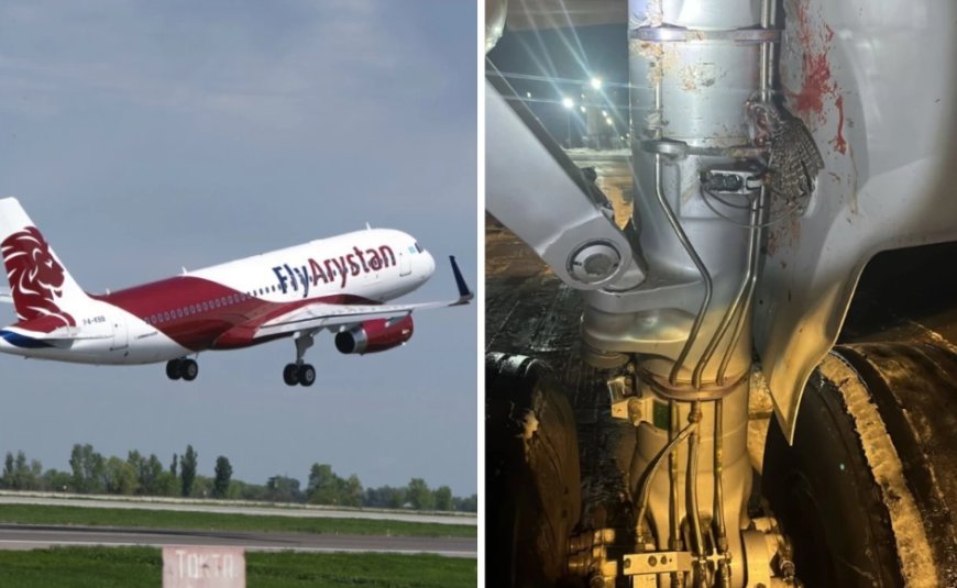 «ДНҚ сараптамасына жіберіледі»: FlyArystan ұшағы құстармен соқтығысқан