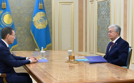 Глава государства принял председателя ЦИК Нурлана Абдирова