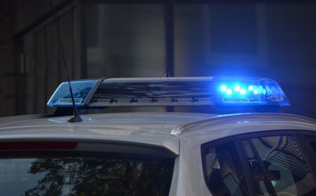 Алматыдағы қоқыс өңдеу зауытынан бөлшектелген мәйіт табылды