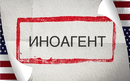 Депутат предложила принять закон «об иностранных агентах»