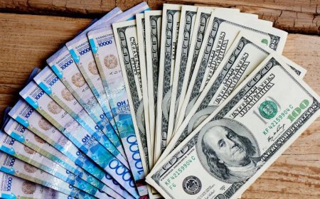 Курс доллара упал ниже отметки 500 тенге