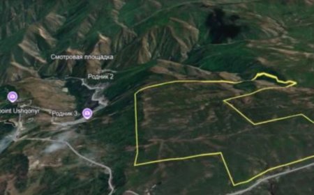 «Ауданы – 142,92 гектар»: Назарбаевтың Шамалғандағы мүлкі аукционға қойылды