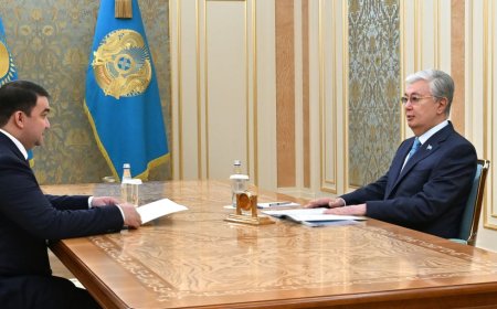 Токаев принял акима Туркестанской области Нуралхана Кушерова