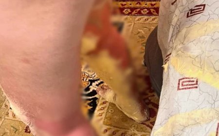«Жансақтау бөлімінде жатыр»: Ақтауда бүлдіршін жылу құбырынан атқылаған ыстық суға күйіп қалды