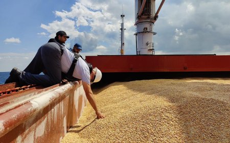Россия назвала условия для перемирия в Чёрном море