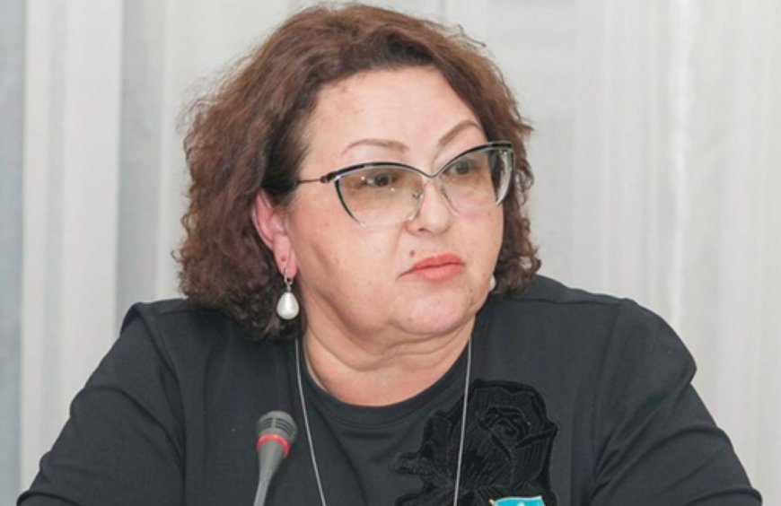 Ирина Смирнова «шетел агенті туралы» заң жобасын әзірлейтінін айтты
