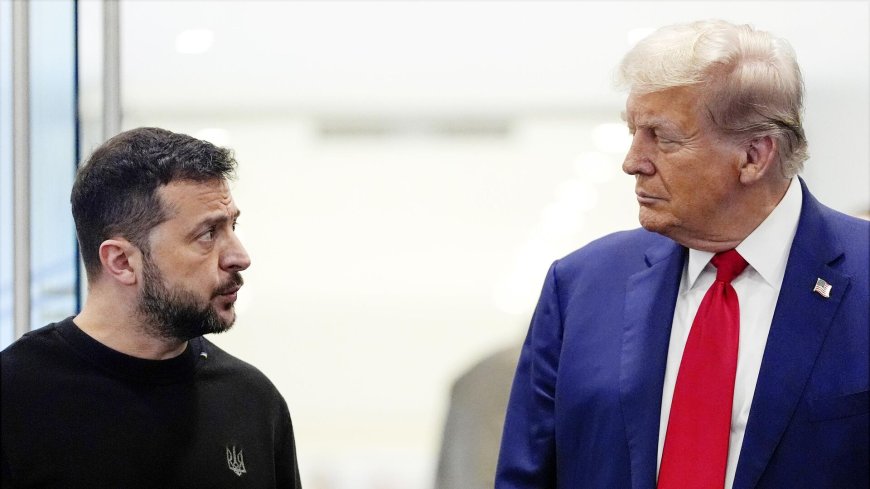 Трамп и Зеленский провели телефонный разговор