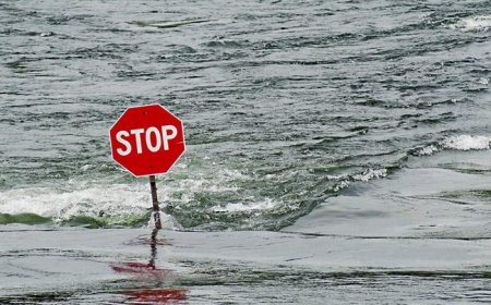 Су тасқыны: Ақмолада үш адам отырған жеңіл көлікті су ағызып әкетті