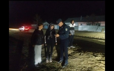 В Костанайской области нашли сбежавших подростков: полицейским помог ветеринар