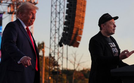 Илон Маск попросил Трампа пересмотреть тарифную политику