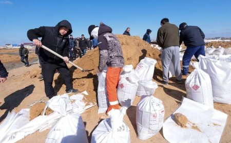 ТЖ салдарын жою: мемлекеттік қолдау және қалпына келтіру шаралары 