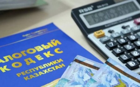 Мажилис одобрил проект нового Налогового кодекса в первом чтении