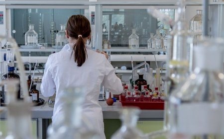 Учёные Казахстана награждены государственными наградами за заслуги в науке