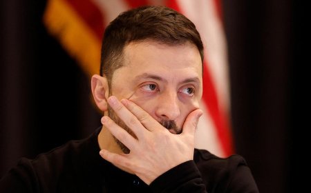 Зеленский предложил Трампу приехать в Украину и «своими глазами увидеть, что сделала Россия»