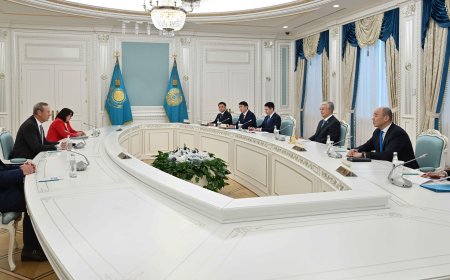 Президент Токаев принял председателя совета директоров корпорации Chevron Майкла Уирта