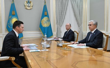 Тоқаев Еуразиялық даму банкінің басқарма төрағасын қабылдады