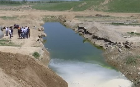 Шымкентте бүлдіршіннің өлімінен кейін екі кәсіпкер қамауға алынды