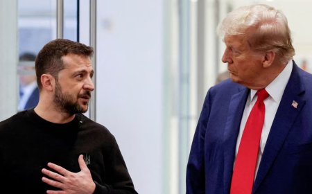 Трамп и Зеленский провели «продуктивный» разговор перед похоронами Папы Франциска