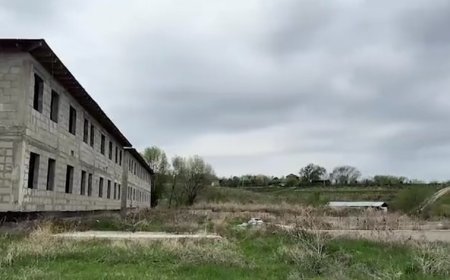 Обман на 972 миллиона: в Каскелене выявили масштабную схему мошенничества с жильём