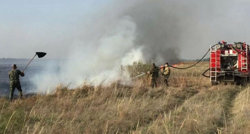 Баянауыл ұлттық паркіндегі негізгі өрт сөндірілді
