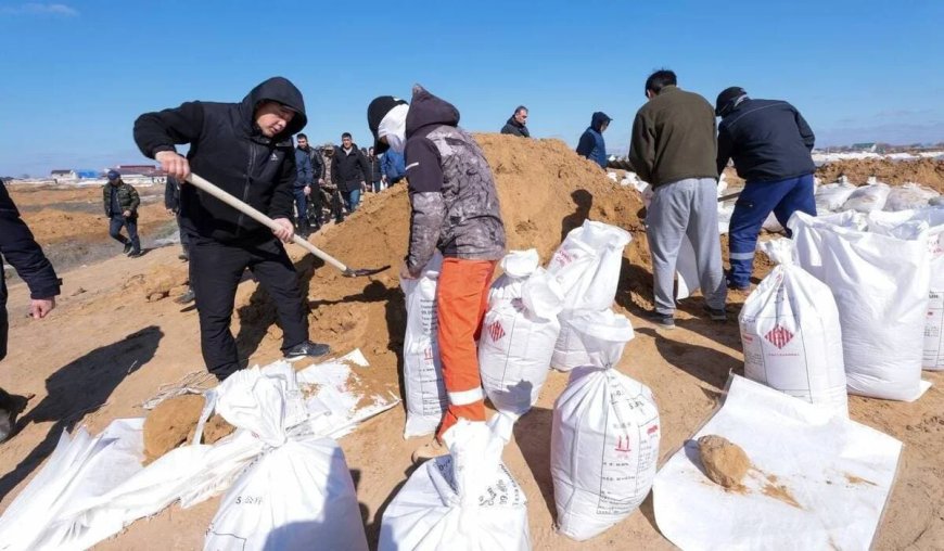 ТЖ салдарын жою: мемлекеттік қолдау және қалпына келтіру шаралары 
