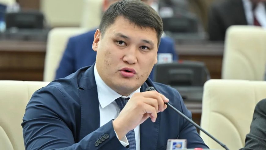 Шымкент қаласы әкімінің орынбасарын атып кетті