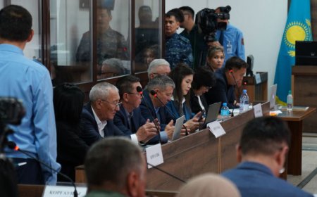 «Әйелдің қатты бақырып жатқан дауысын естідім»: Шерзат сотында куәгер сұмдық дерек айтты