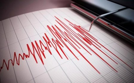 Землетрясение магнитудой 4,9 произошло в 544 километрах от Алматы