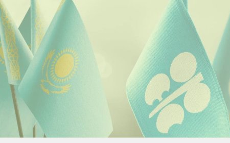 Казахстан опроверг заявления о внешнем давлении в рамках ОПЕК+