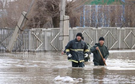 Акиму ограничили свободу за затопление села в Акмолинской области