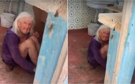 «Үйдің іші нәжіске, тарақанға толы»: Шымкентте тыл еңбеккері жылдар бойы адам төзгісіз жағдайда өмір сүріп келген