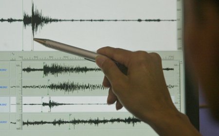 Алматы маңында жер сілкінісі болды
