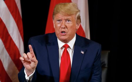 Трамп потребовал от Гарварда раскрыть данные об иностранных студентах