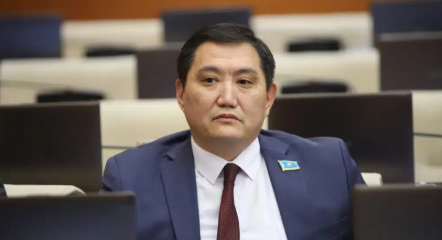 «Түсініксіз нәрсе көп»: Депутат Назарбаев әулетінен Сара Алпысқызы туралы ашық ақпарат берілуін талап етті