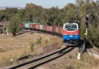 В Карагандинской области поезд сбил двухлетнего ребёнка