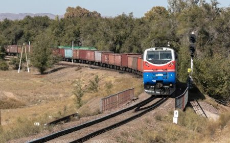 В Карагандинской области поезд сбил двухлетнего ребёнка