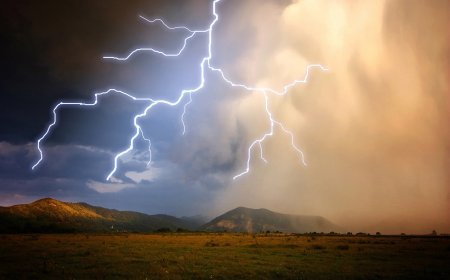Өрісте найзағай түсіп, әкесі мен ұлы қаза тапты