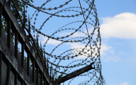 К 30-летию Конституции в Казахстане планируется амнистия