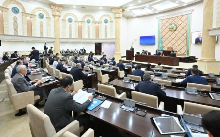 Сенат жаңа Салық кодексін кері қайтарды