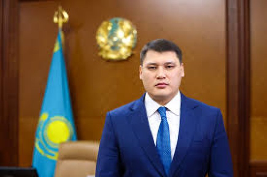 Берденов планирует уходит с поста замакима