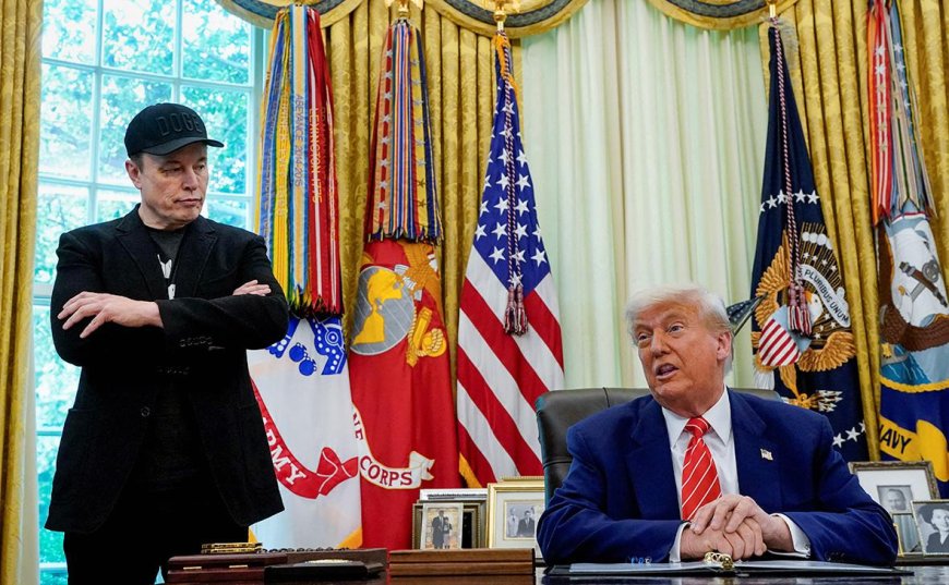 Илон Маск выступил с резкой критикой в адрес Дональда Трампа