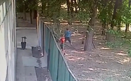 Үш ит талаған бала оқиғасы: Бақылау камерасынан видео жарияланды
