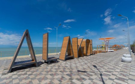 Тоқаев Алакөл маңындағы демалыс орындарын ретке келтіруді тапсырды