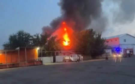 Адам шығыны бар: Алматы облысында фабрика өртенді