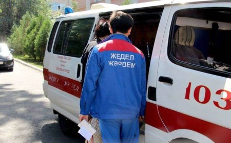 Павлодарда анасы терезеден лақтырып жіберген баланың бірі қайтыс болды