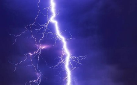 Ақмола облысында найзағай соғып, бір бала қаза тапты, екіншісі жарақат алды
